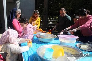 بزرگترین جشنواره نارنج ایران برگزار شد+تصاویر