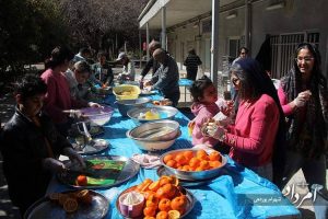 بزرگترین جشنواره نارنج ایران برگزار شد+تصاویر