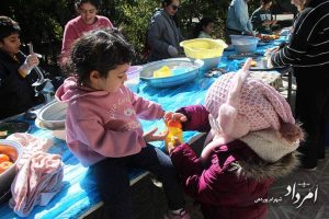 بزرگترین جشنواره نارنج ایران برگزار شد+تصاویر