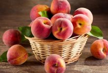خواص دارویی بی‌نظیری هلو را دست کم نگیرید!