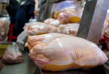 ثبات قیمت مرغ در میادین میوه و تره‌بار؛ بدون صف و محدودیت