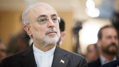 صالحی: برخی مسئولان مانع پیشرفت مذاکرات شدند / روایت نامه محرمانه