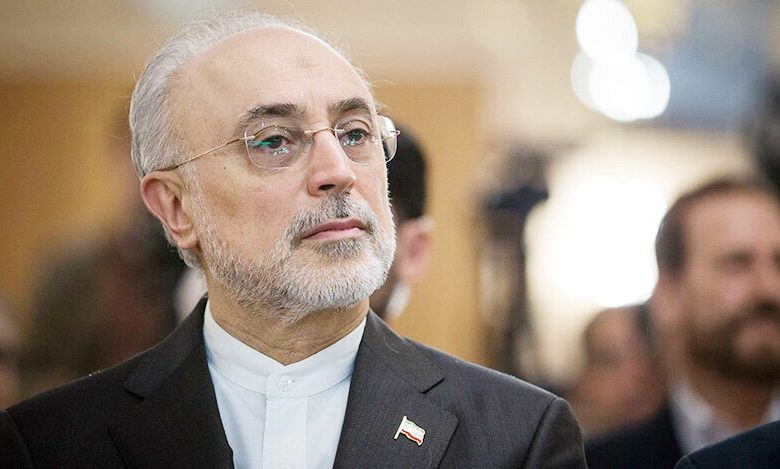 صالحی: برخی مسئولان مانع پیشرفت مذاکرات شدند / روایت نامه محرمانه