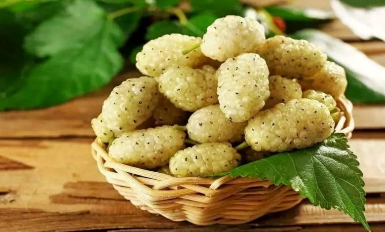 میوه