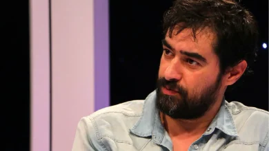 شهاب حسینی