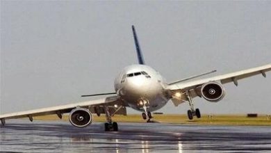 اولین تصویر منتشر شده از لحظه برخورد بوئینگ ۷۳۷ با گوزن! + فیلم