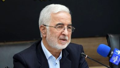 وزیر کشور آخرین وضعیت خروج اتباع غیرمجاز را تشریح کرد