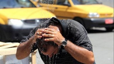هواشناسی