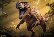 تیرانوسوروس رکس یا به اختصار تی. رکس (T.Rex)، بی‌شک یکی از نمادین‌ترین دایناسورها در فرهنگ عامه است که شکارچی ترسناکی با دندان‌های تیز، پاهای قدرتمند و غرشی هولناک محسوب می‌شود.