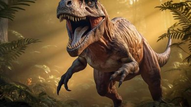 تیرانوسوروس رکس یا به اختصار تی. رکس (T.Rex)، بی‌شک یکی از نمادین‌ترین دایناسورها در فرهنگ عامه است که شکارچی ترسناکی با دندان‌های تیز، پاهای قدرتمند و غرشی هولناک محسوب می‌شود.