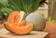 طالبی