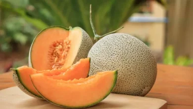 طالبی