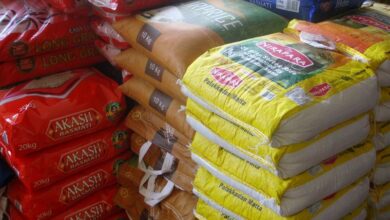 اقدام عجیب در بازار برنج؛ تعیین نرخ دستوری برای کشورهای صادرکننده