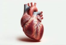 نور؛ کلید تازه برای کنترل تپش قلب