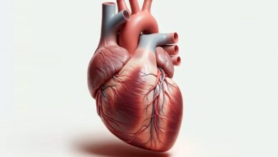 نور؛ کلید تازه برای کنترل تپش قلب