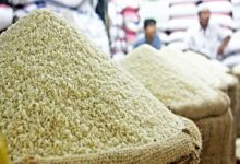 قیمت برنج ایرانی و خارجی امروز ۲۸ شهریور ۱۴۰۴