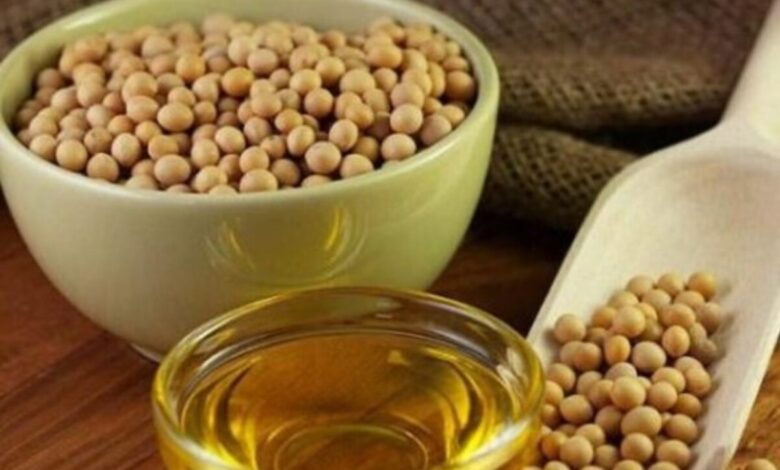 سویا با طعمی تازه در راه است؛ دستپخت دانشمندان برای گیاهخواران