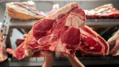 قیمت انواع گوشت