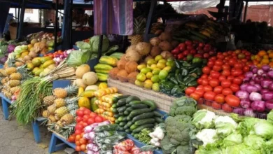 ورود نوبرانه‌های پاییز؛ ضربه‌ای به تب داغ میوه در بازار