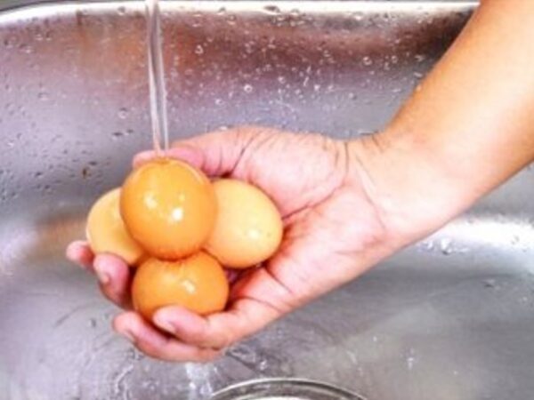 شستن یا نشستن؟ نکاتی مهم درباره تخممرغ خام
