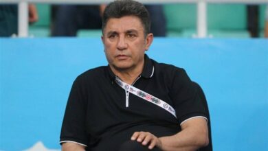 قلعه‌نویی