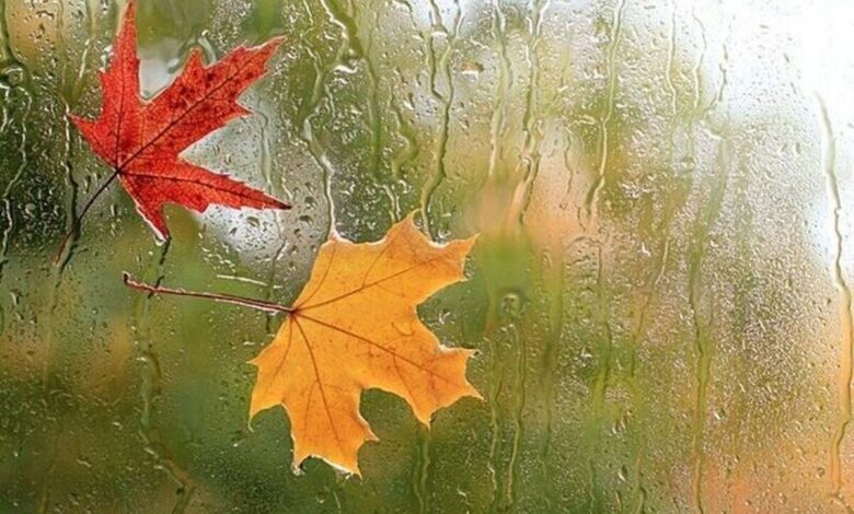 هواشناسی