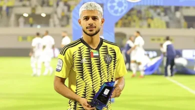 مهدی قائدی