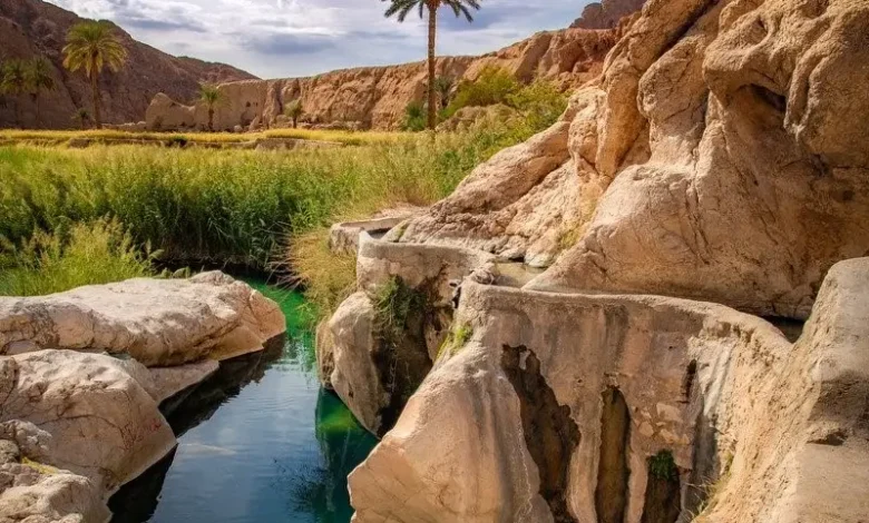 طبس،