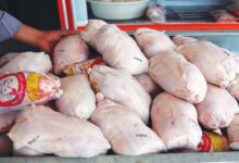 قیمت گوشت مرغ