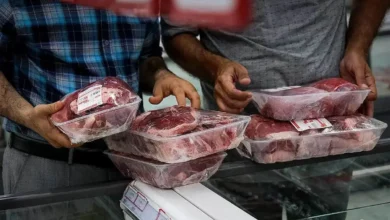 قیمت گوشت گوساله