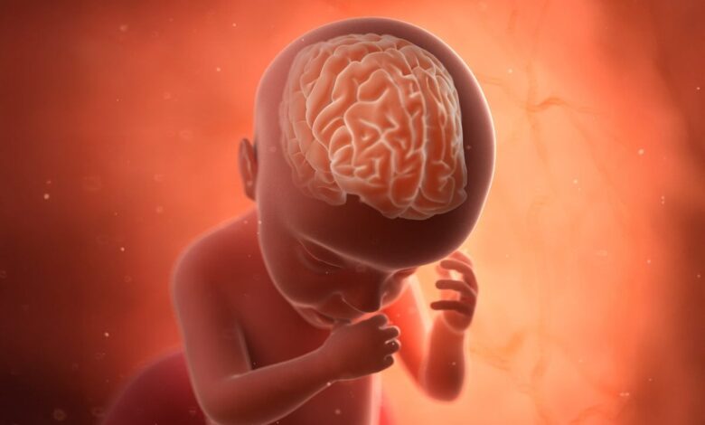 استامینوفن