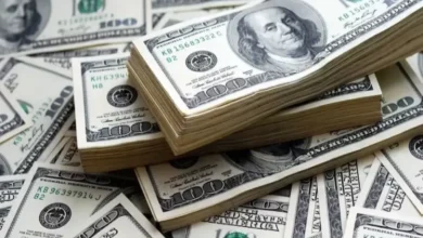 جدیدترین قیمت دلار و یورو در بازار آزاد امروز چهارشنبه ۳۰ مهر ۱۴۰۴