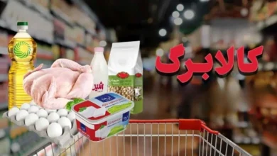 کالابرگ الکترونیکی