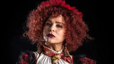 چهره‌ای تازه از سحر دولتشاهی در نقش‌آفرینی الیور توئیست