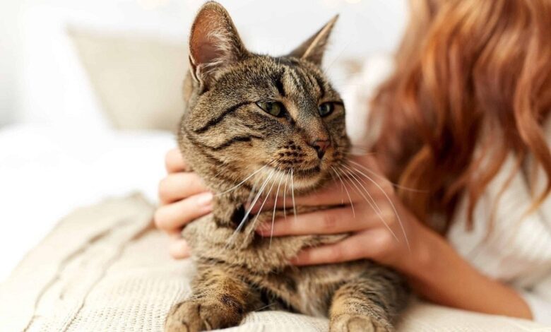 آیا حیوانات خانگی میتوانند ریسک ابتلا به اسکیزوفرنی را بالا ببرند؟