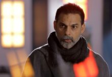 پیمان معادی