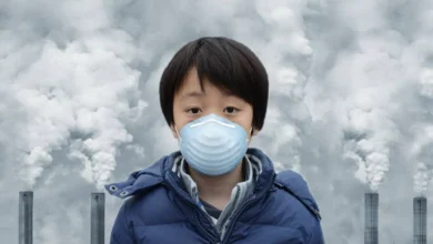 چگونه هوای آلوده روند پیری مغز را سرعت می‌بخشد؟