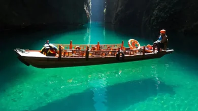 پینگشان؛ بهشت مهآلود جنوب چین+ فیلم