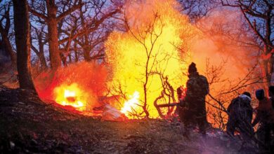 پایان آتش‌سوزی در جنگل‌های الیت؛ مهار کامل اعلام شد