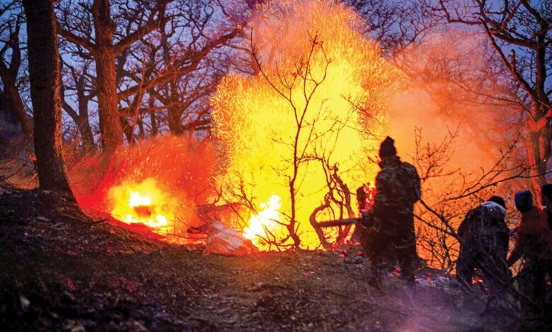 پایان آتشسوزی در جنگلهای الیت؛ مهار کامل اعلام شد