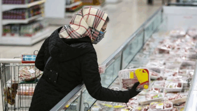 مرحله پنجم کالابرگ