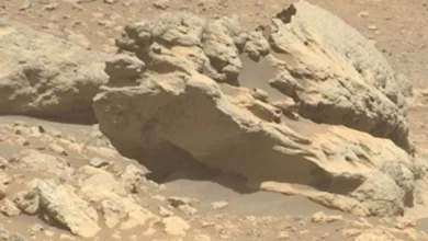 کشف سنگ متفاوت در مریخ؛ فیپساکسلا زیر نگاه مریخنورد