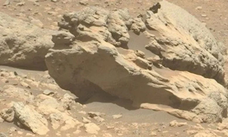 کشف سنگ متفاوت در مریخ؛ فیپساکسلا زیر نگاه مریخنورد