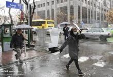 بارش باران تهران