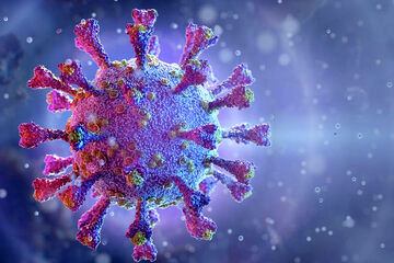 دکتر آذرخش آذران در گفتوگو با ایسنا اظهار کرد: پاییز، زمان اوج بسیاری از بیماریهای ویروسی تنفسی است؛ عفونتهای ویروسی سیستم تنفسی به راحتی قابل انتقال هستند و میتوانند برای کودکان، افراد مسن و اشخاصی که ضعف سیستم ایمنی دارند، خطرناک باشند. وی با اشاره به بیماریهای ویروسی و باکتریال تنفسی شایع در این فصل، افزود: ویروسهای مختلفی از جمله رینوویروسها در بروز سرماخوردگی نقش دارند. کووید - ۱۹، آنفلوآنزا، سرماخوردگی ناشی از ویروسهای مختلف، اسهال و استفراغ ناشی از روتاویروس، عفونت حاد گوش، سینوزیت، آلرژی و آسم در این فصل شیوع پیدا میکنند. تپسلتپسل Advertisement وضعیت فعلی شیوع ویروسهای تنفسی این متخصص ویروسشناسی پزشکی گفت: امسال اطلاعاتی که در مورد ویروسهای تنفسی داریم، بیشتر از کشور استرالیا است. این روزها در شبکههای اجتماعی بسیار در مورد بدتر شدن وضعیت آنفلوآنزا صحبت کردهاند. استرالیا در نیمکره جنوبی و کشور ما در نیمکره شمالی قرار داد؛ با بررسیهای الگوهای اپیدمیولوژیک استرالیا، شیوع ویروسها در نیمکره جنوبی و شمالی متفاوت خواهد بود. وی ادامه داد: در حال حاضر در استرالیا علاوه بر ویروس آنفلوآنزای نوع A، ویروس RSV و کرونا(کووید - ۱۹) هم در گردش است یعنی اکنون در استرالیا یک اپیدمی وجود دارد و سه ویروس در حال گردش هستند اما خوشبختانه ویروس آنفلوآنزا تغییر آنتیژنتیکی نداده است، یعنی ویروسی که در گردش است، دقیقا مطابق با سویههای موجود در واکسن موجود است و قاعدتا واکسیناسیون باید کارآیی لازم را داشته باشد. آذران با اشاره به گردش فراوان ویروس آنفلوآنزای نوع A و افزایش سرعت انتقال آن بیان کرد: بررسیها نشان داده که دلیل اصلی این موضوع، پوشش کم و ناکافی واکسیناسیون بوده است، در نتیجه با انتقال بالای ویروس در کودکان و بروز بیماری شدید و وخیم در بزرگسالان مواجه شدهایم. بنابراین آنفلوآنزا در کودکان موجب انتقال خیلی سریع میشود و این کودکان هستند که بیماری را به دیگران منتقل میکنند اما در کودکان چندان منجر به بستری نمیشود اما این بیماری ممکن است در بزرگسالان بالای ۶۵ سال، وخیم و حتی منجر به بستری شدن در ICU شود. علائم بالینی آنفلوآنزا وی ادامه داد: علائم آنفلوآنزا برخلاف کووید - ۱۹ که به صورت تدریجی شروع میشود، ناگهانی است و با تب و لرز و سردرد شروع میشود و در ادامه، سرفه خشک و در موارد کم سرفه خلطدار، بدندرد شدید به ویژه در ناحیه کمر یا پشت ساق پا، آبریزش از بینی، گلو درد، آبریزش چشم، دردناک شدن چشمها، بیاشتهایی، احساس فشار در زیر جناق سینه، گاهی بروز اسهال، استفراغ و تهوع، خستگی و بیقراری از علائم این بیماری هستند. خطرات و عوارض آنفلوآنزا عضو هیات علمی دانشگاه علوم پزشکی جندی شاپور اهواز اضافه کرد: عوارض این بیماری به دو دسته ریوی(پولمونری) و خارج ریوی(اکستراپولمونری) تقسیم میشوند. عوارض ریوی شامل پنومونی ویروسی و پنومونی باکتریال و عوارض خارج ریوی هم شامل عفونت گوش میانی، سینوزیت، التهاب تیروئید، بدتر شدن دیابت، التهاب قلب، التهاب مغز و التهاب عضلات است. آذران گفت: به طور کلی، آنفلوآنزا میتواند چندین ارگان بدن را درگیر کند و در افرادی که بیماریهای ریوی و قلبی دارند، میتواند موجب تشدید آن بیماری شود. تفاوت آنفلوآنزا با دیگر بیماریهای ویروسی تنفسی وی در خصوص تفاوتهای آنفلوآنزا با سرماخوردگی و کووید - ۱۹ بیان کرد: بسیاری اوقات بیماریهای تنفسی از نظر بالینی، قابل تشخیص نیستند اما یکی از مهمترین وجوه تفکیک آنفلوآنزا از سرماخوردگی و کووید - ۱۹، شروع بسیار ناگهانی آنفلوآنزا است، به این معنا که بدون هیچ پیش آگهی قبلی و به صورت ناگهانی، تب و لرز و سردرد شروع میشود اما در کووید - ۱۹ و سرماخوردگی، علائم به صورت تدریجی رخ خواهد داد؛ اول تب و لرز خفیف، بعد کاهش اشتها، گلودرد، سوزش گلو و به تدریج درد عضلانی، آبریزش و گرفتگی بینی ایجاد میشود. بنابراین وجه تفکیک بالینی آنفلوآنزا از سرماخوردگی، تنها شروع ناگهانی یا تدریجی بودن علائم است در حالی که در سرماخوردگی، درد عضلانی وجود ندارد و شدت بیماری کمتر است؛ اما اگر بخواهیم به صورت دقیق ویروس را تشخیص دهیم، نیازمند تشخیص آزمایشگاهی خواهیم بود. این متخصص ویروسشناسی پزشکی گفت: دوره کمون انتشار ویروس آنفلوآنزا یک تا چهار روز است و هرچه میزان ویروس بیشتر باشد، علائم زودتر ظاهر میشوند اما معمولا علائم آنفلوآنزا بعد از یکی دو روز بعد از مواجهه با ویروس یا فرد بیمار، ظاهر میشود. باید و نباید واکسن آنفلوآنزا وی بیان کرد: بهترین راه پیشگیری، واکسیناسیون است. در حال حاضر در کشور ما سه نوع واکسن شامل دو واکسن خارجی و یک واکسن ایرانی برای آنفلوآنزا وجود دارد؛ همه افراد بالای شش ماه میتوانند وکسن خارجی را تزریق کنند اما واکسن ایرانی تنها برای افراد بالای ۱۸ سال تزریق میشود. آذران در خصوص نحوه تزریق واکسن در کودکان بیان کرد: برای کودکانی که سن زیر ۹ سال دارند و برای اولین بار واکسن آنفلوآنزا را دریافت میکنند، باید دو دوز به فاصله ۲۸ روز تزریق شود و از سالهای بعد، دریافت یک دوز مانند بزرگسالان کافی است. برای بزرگسالان هم تزریق سالیانه یک دوز کافی است. وی افزود: بهتر است همه افراد این واکسن را دریافت کنند اما با توجه به اینکه واکسن به تعداد کافی وجود ندارد، سالمندان بالای ۶۵ سال، زنان باردار، بیماران دیابتی، افراد با اضافه وزن با BMI بالای ۴۰، افراد با ضعف سیستم ایمنی، مبتلایان به بیماریهای زمینهای، کادر درمان و بیماران قلبی و افراد با فشارخون بالا در اولویت هستند. عضو هیات علمی دانشگاه علوم پزشکی جندی شاپور اهواز ادامه داد: شستوشوی دستها با آب و صابون به مدت ۲۰ ثانیه، ضدعفونی کردن سطوح، دوری از افراد دارای علائم بیماری و پوشاندن دهان و بینی با ماسک در جاهای شلوغ و سربسته نیز راههای پیشگیری غیر از واکسیناسیون است. درمان آنفلوآنزا وی اضافه کرد: درمان این بیماری به دو دسته تقسیم میشود؛ مراقبتهای اولیه و حمایتی شامل استراحت، مصرف مایعات گرم، استفاده از عسل، لیمو و ویتامین C است. این متخصص ویروسشناسی پزشکی با اشاره به درمانهای دارویی آنفلوآنزا گفت: داروهای ضدویروس باید در ساعتهای اولیه شروع علائم، مصرف شود. داروهای ضدویروس برای همه افراد تجویز نمیشود و تنها با دستور پزشک و در موارد خاص انجام میشود زیرا مصرف بیرویه داروهای ضدویروس میتواند منجر به ایجاد مقاومت دارویی شود. وی با اشاره به درمان علامتی آنفلوآنزا با داروهای ضدالتهاب افزود: مصرف آنتیبیوتیک فقط در صورت وجود گلو درد باکتریال مجاز است و هیچ تاثیری بر خود ویروس ندارد. اگر عفونت باکتریال وجود ندارد، باید از مصرف آنتیبیوتیک خودداری کرد.