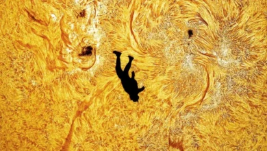 سقوط ایکاروس