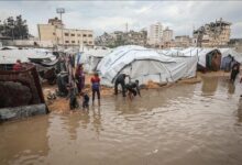 تصاویری تلخ از سیل در غزه؛ آوارگان بی‌پناه زیر باران