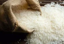 یارانه برنج حذف شد؛ جزئیات سیاست تازه اعلام گردید