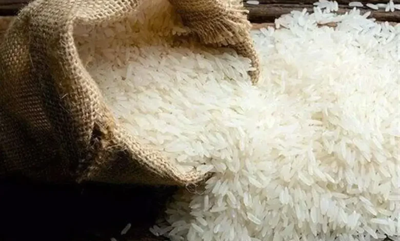 یارانه برنج حذف شد؛ جزئیات سیاست تازه اعلام گردید