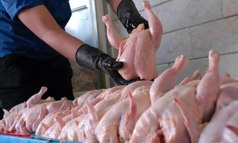 قیمت گوشت مرغ